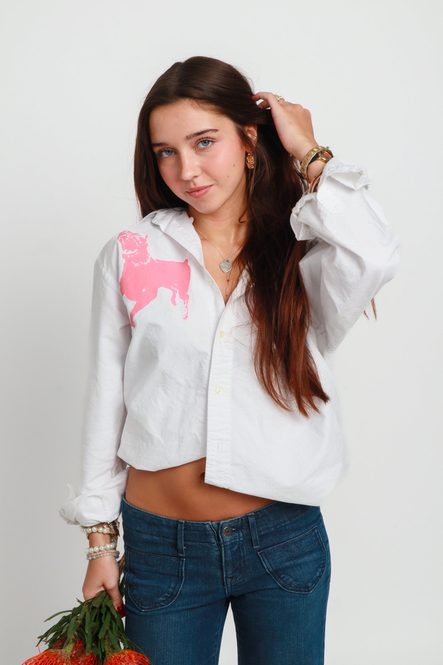 dog button down *Brooks Brothers