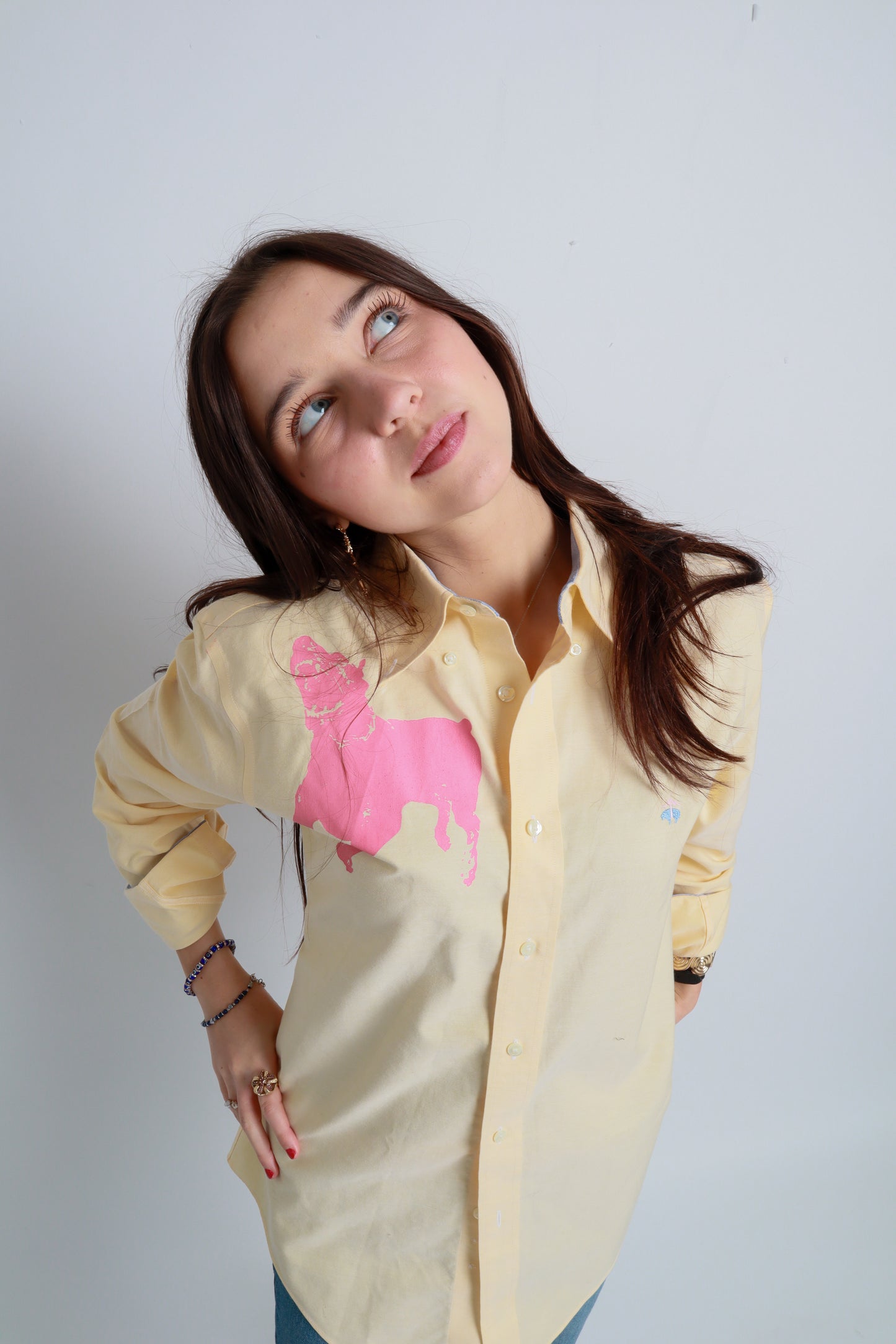 dog button down *Brooks Brothers