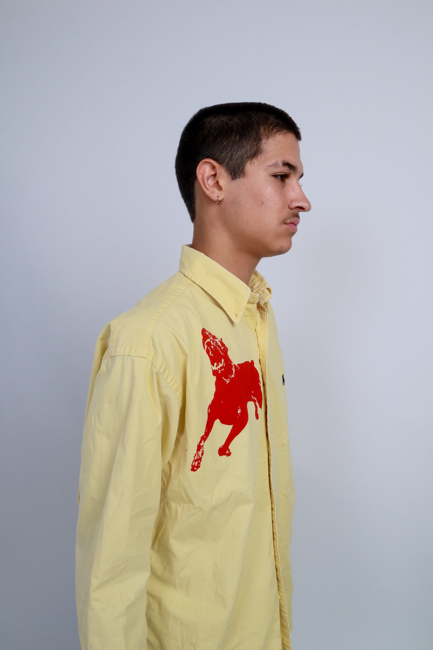 dog button down *Ralph Lauren