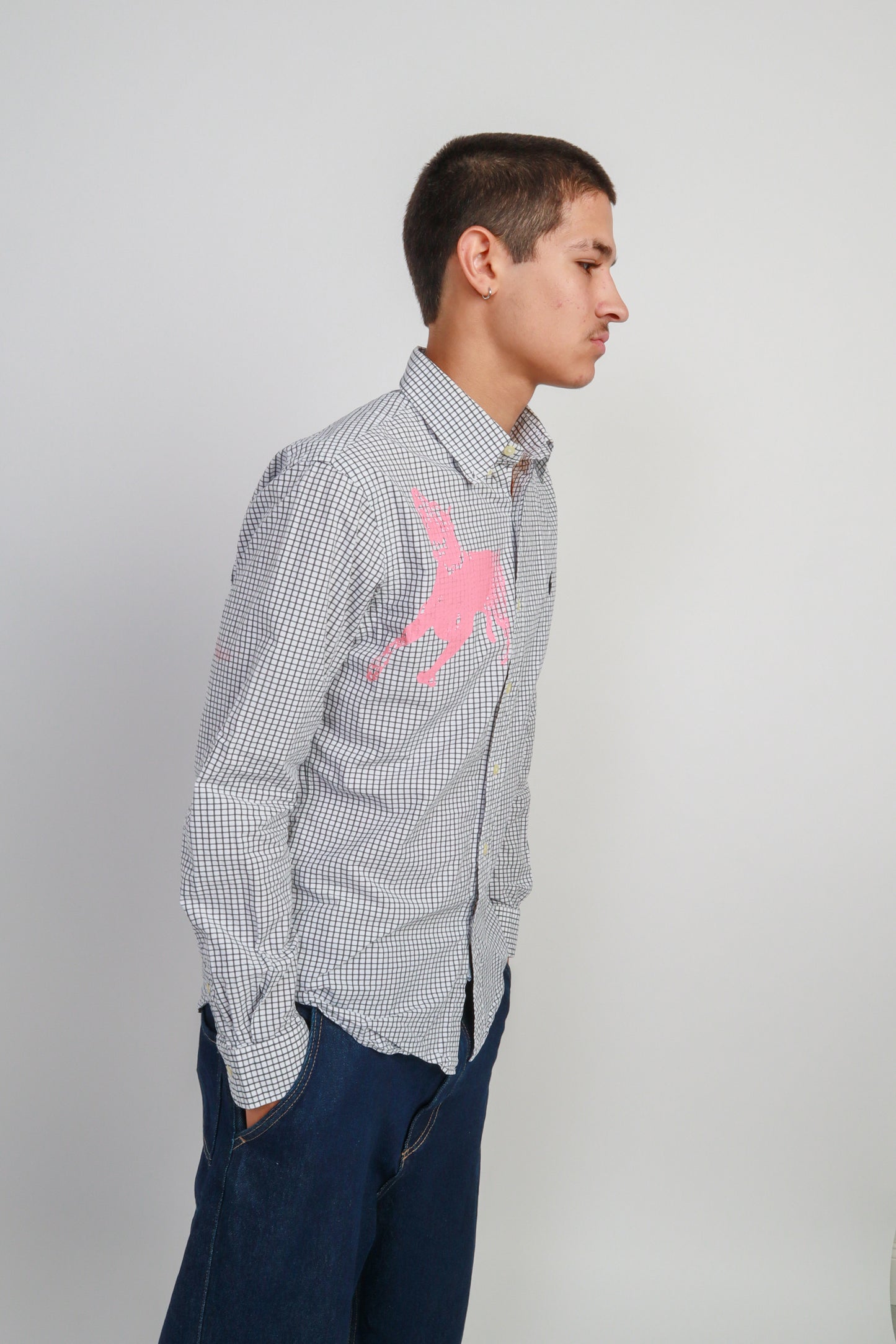 dog button down *Ralph Lauren