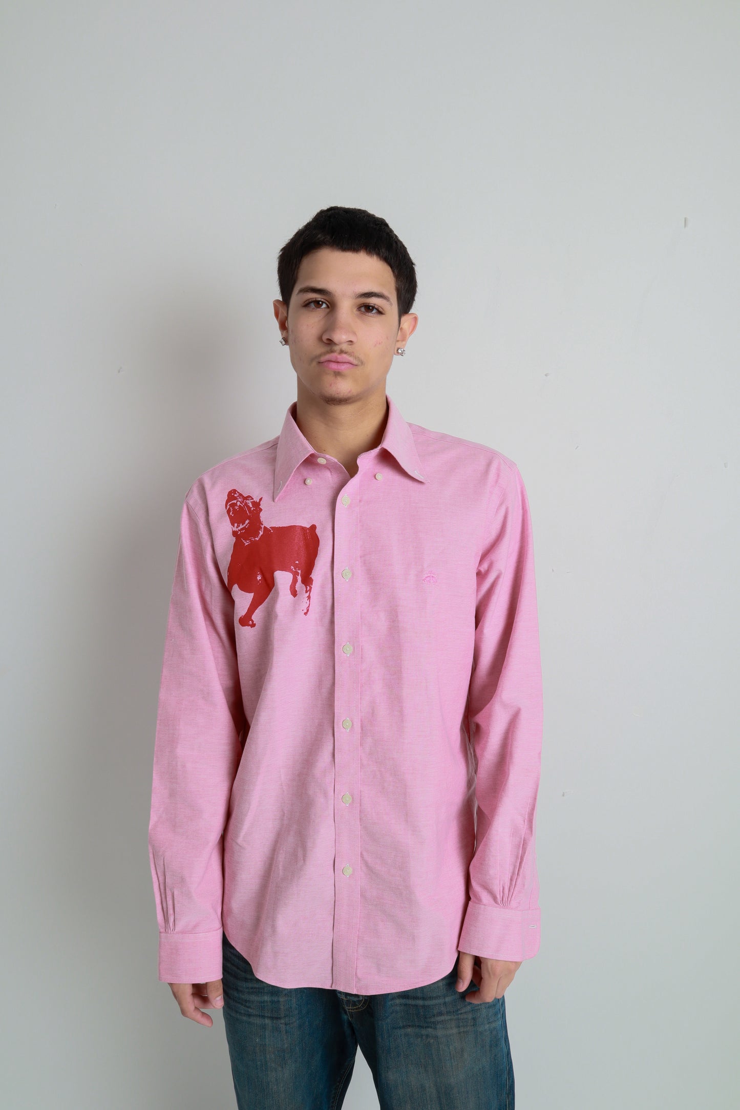 dog button down *Brooks Brothers