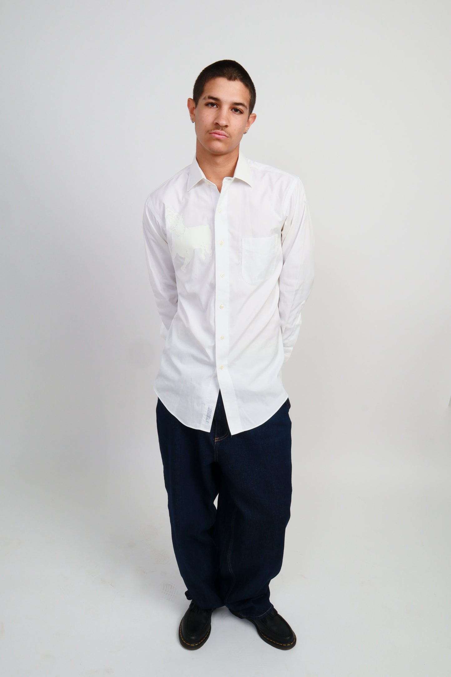 dog button down *Brooks Brothers