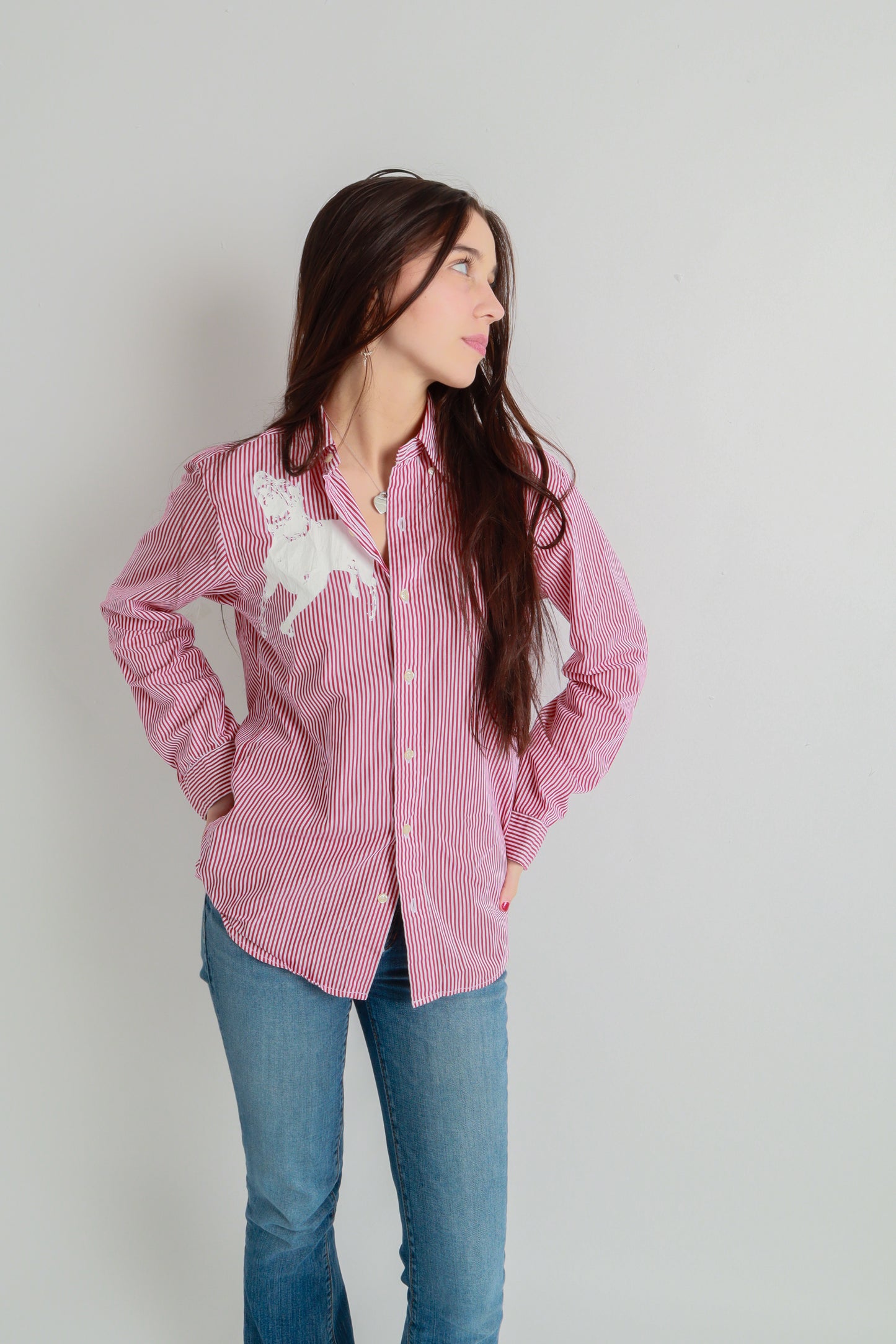 dog button down *Brooks Brothers