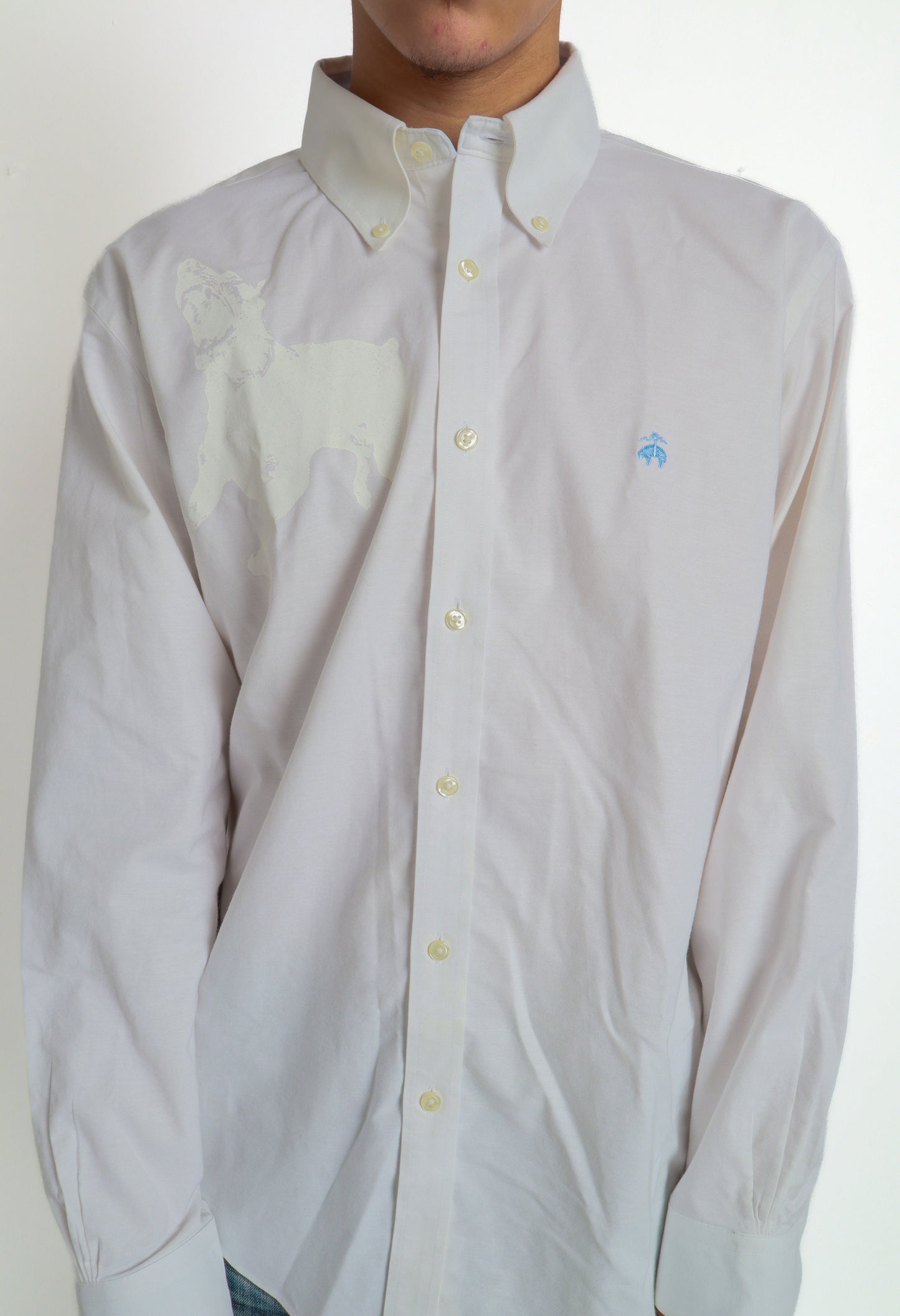 dog button down *Brooks Brothers