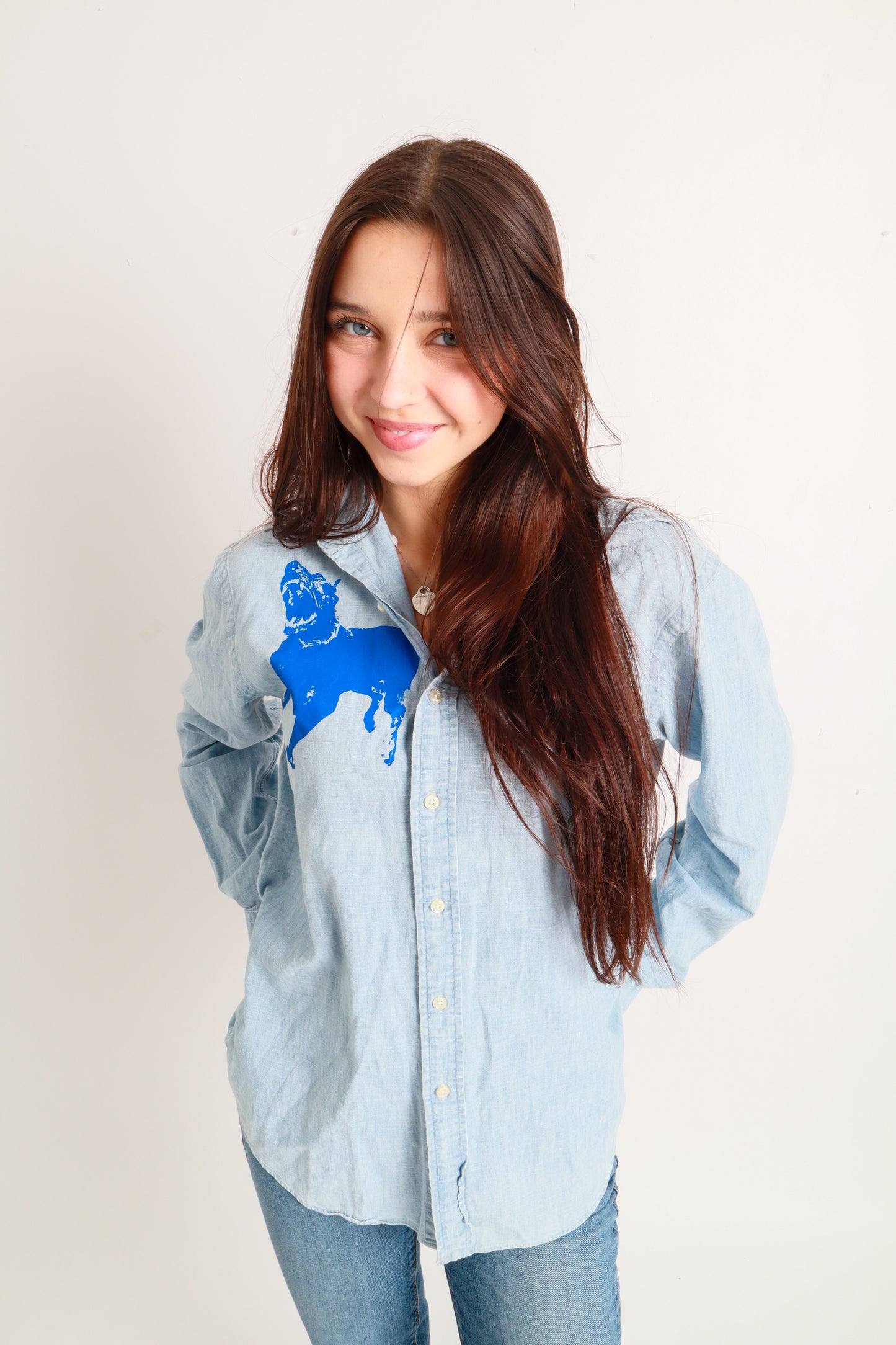 dog button down *Brooks Brothers