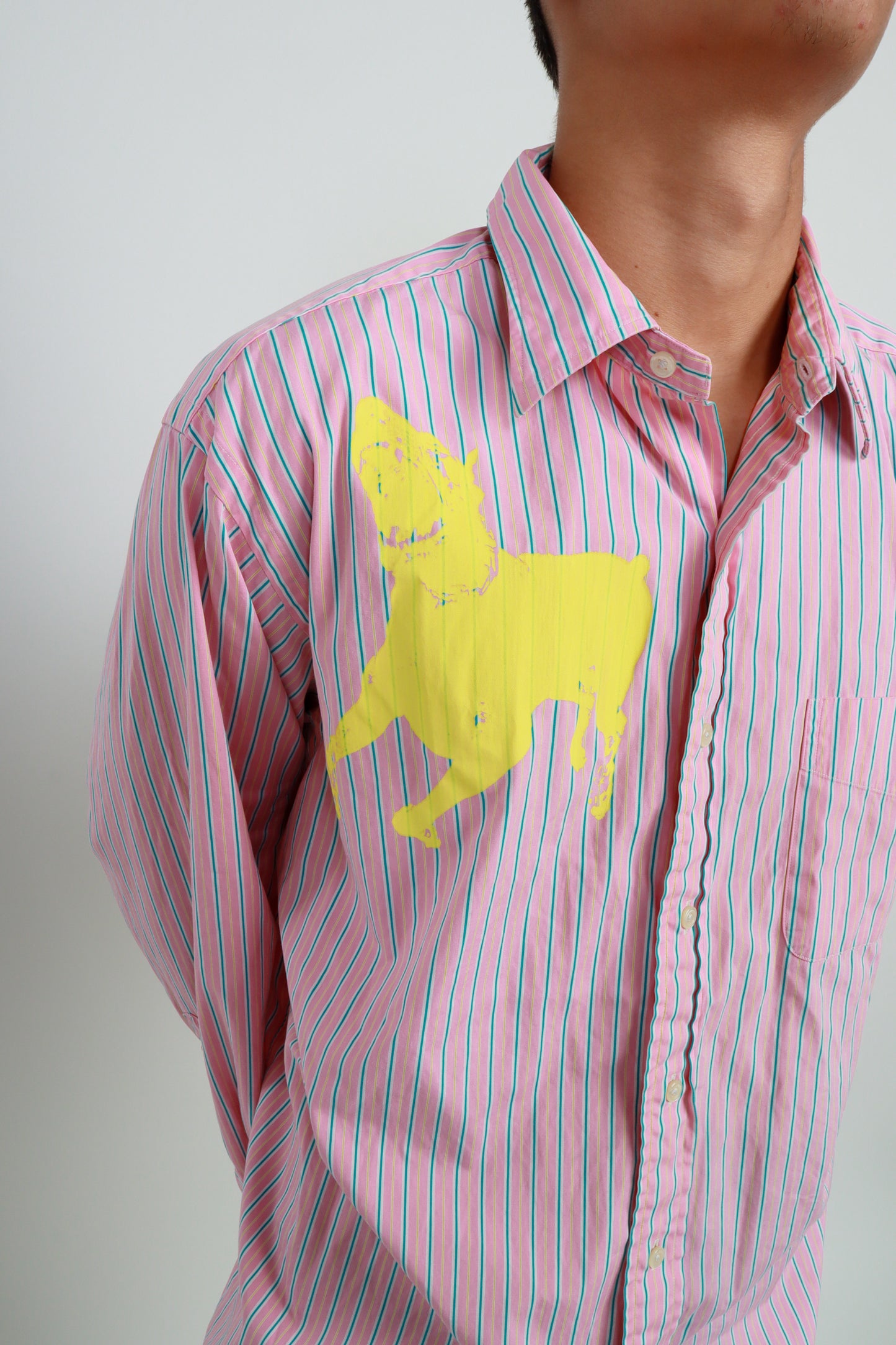 dog button down *Ralph Lauren