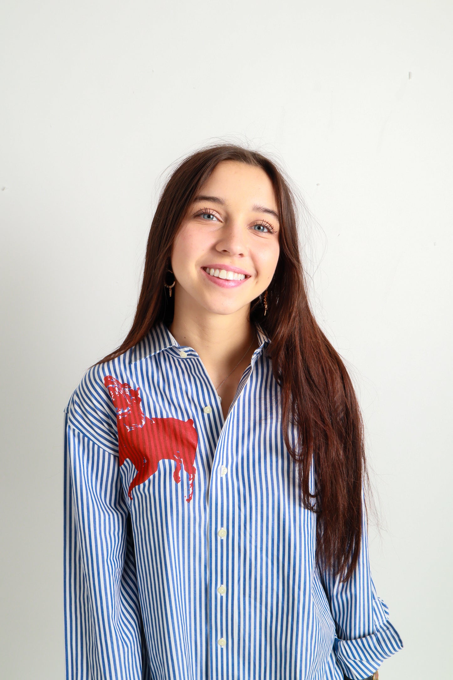 dog button down *Brooks Brothers