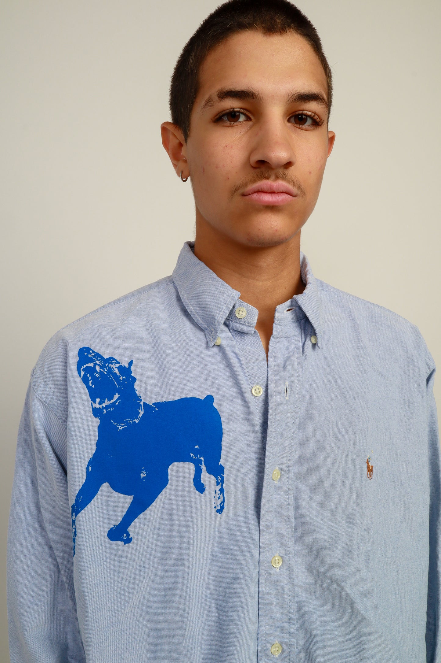 dog button down *Ralph Lauren