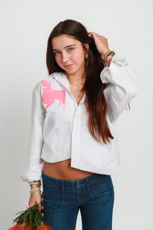 dog button down *Brooks Brothers