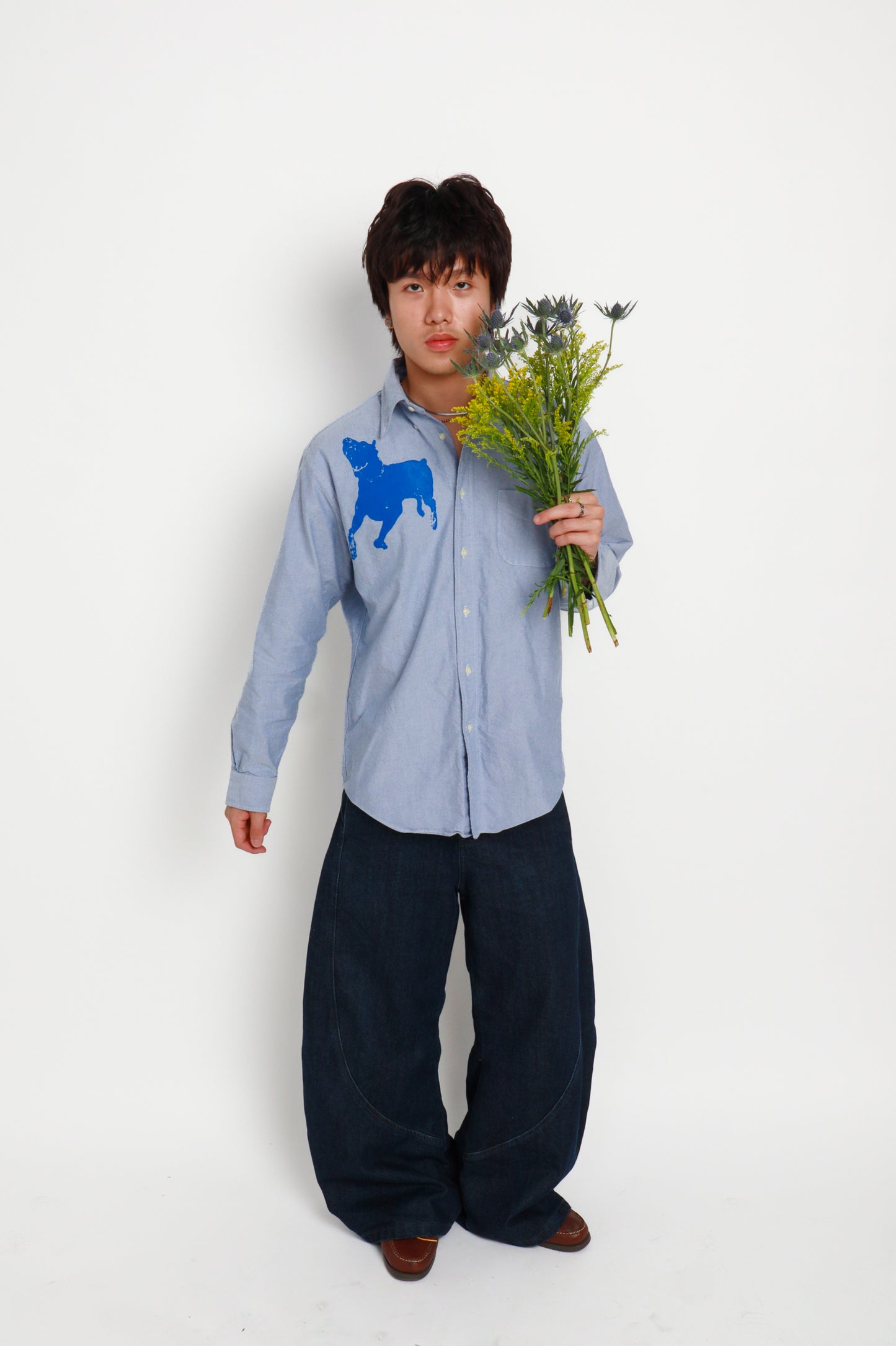 dog button down *Brooks Brothers