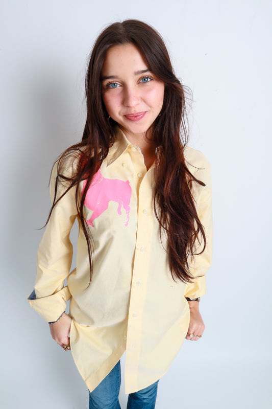 dog button down *Brooks Brothers