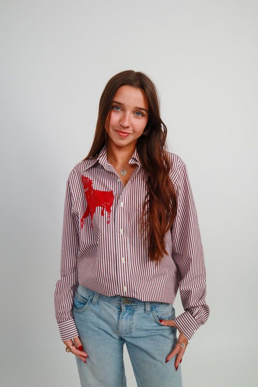 dog button down *Brooks Brothers
