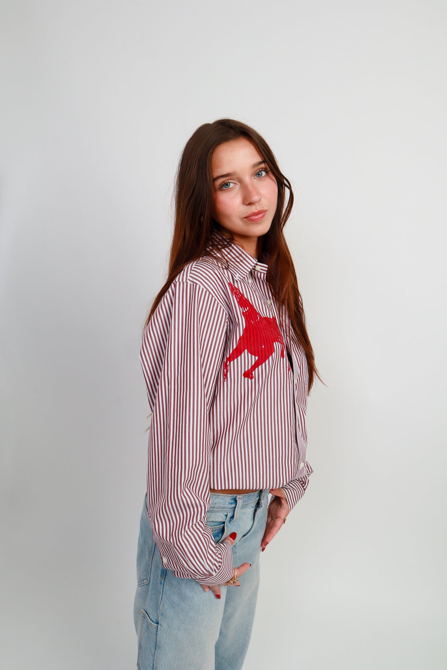 dog button down *Brooks Brothers