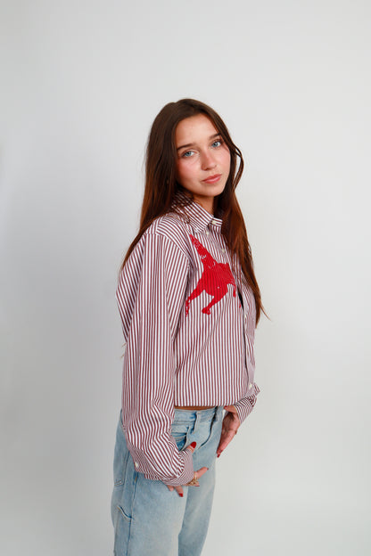 dog button down *Brooks Brothers