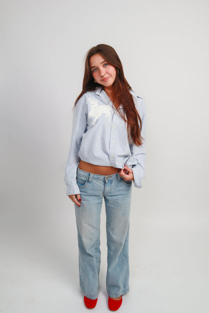 dog button down *Ralph Lauren