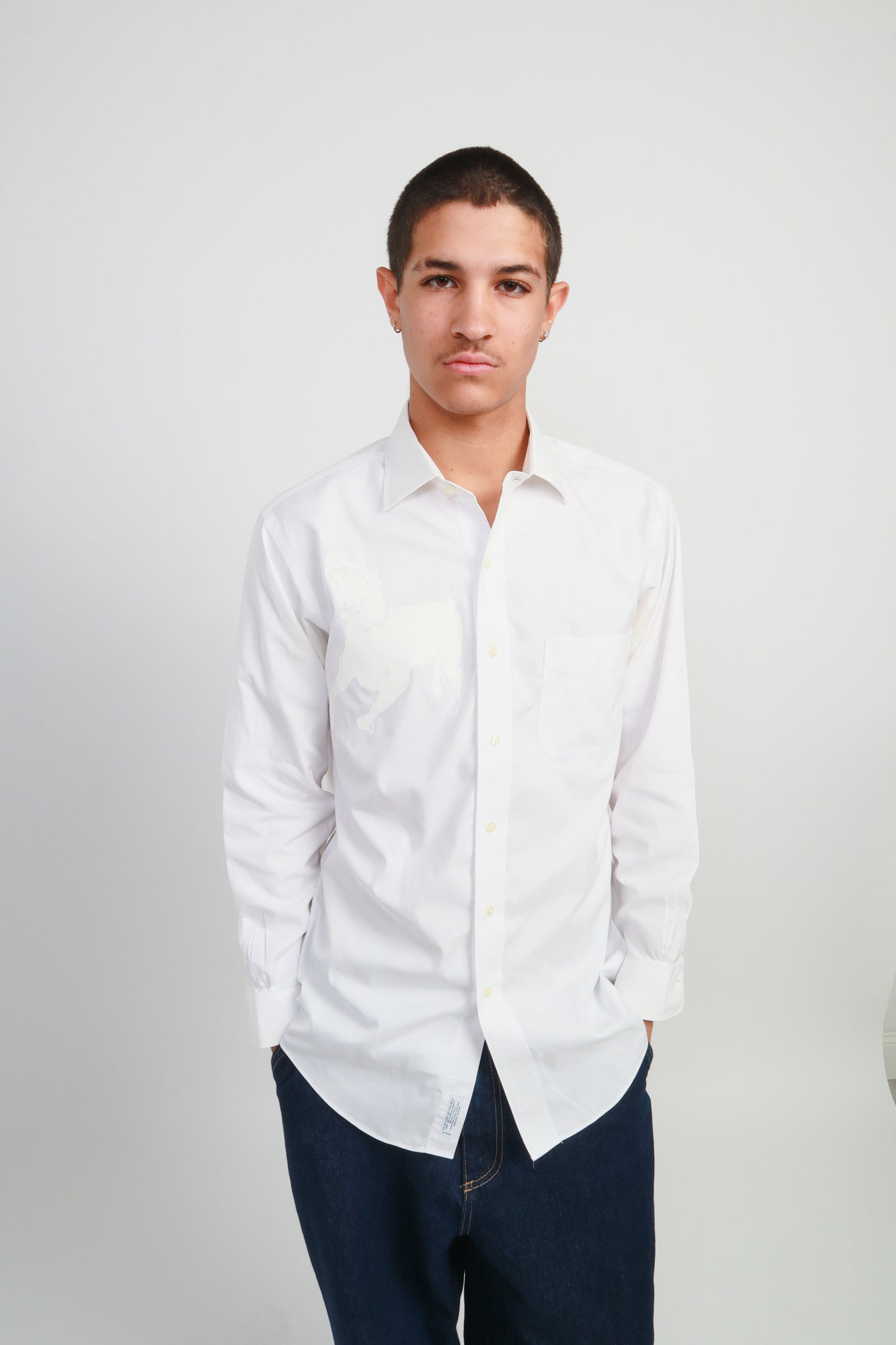 dog button down *Brooks Brothers