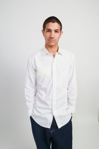 dog button down *Brooks Brothers