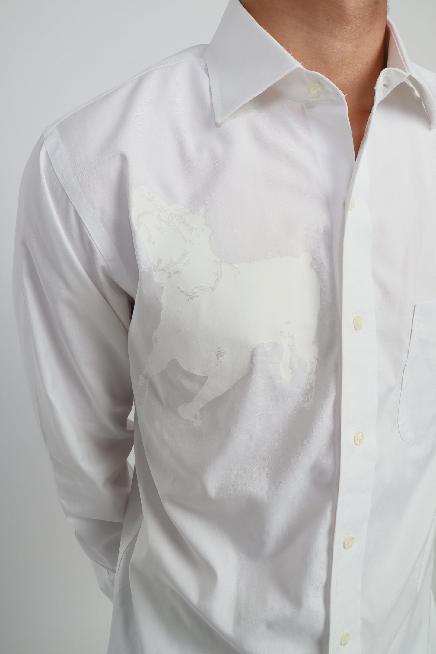 dog button down *Brooks Brothers