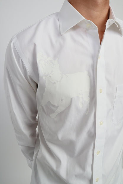 dog button down *Brooks Brothers