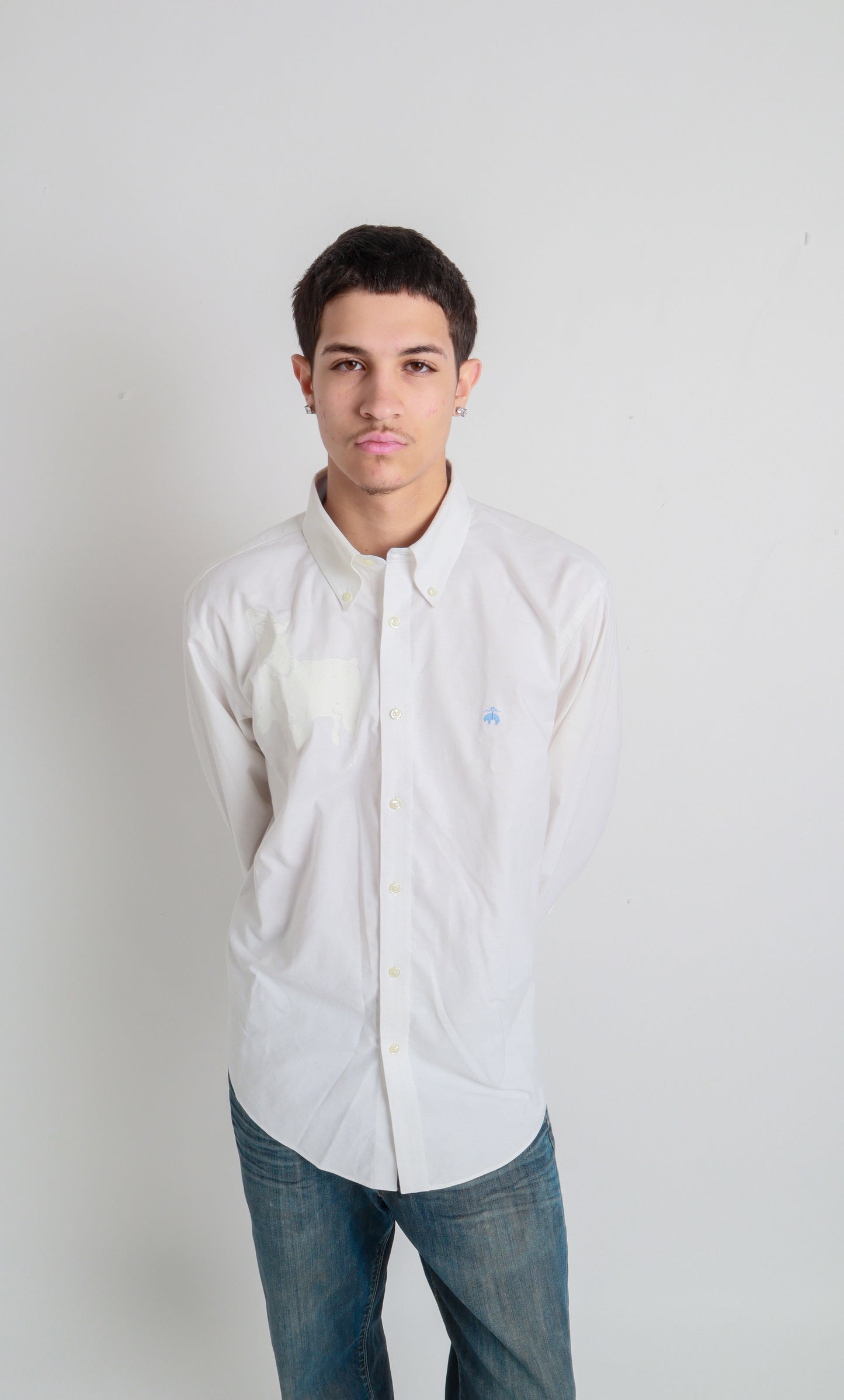 dog button down *Brooks Brothers