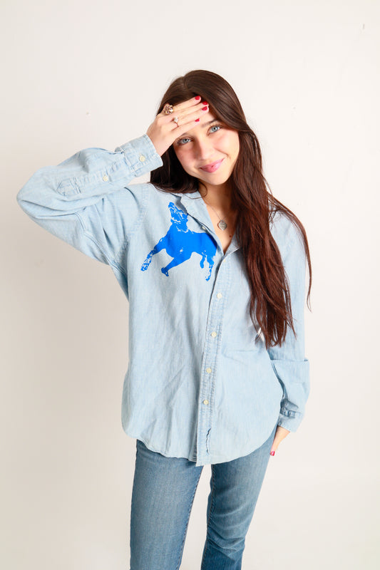 dog button down *Brooks Brothers