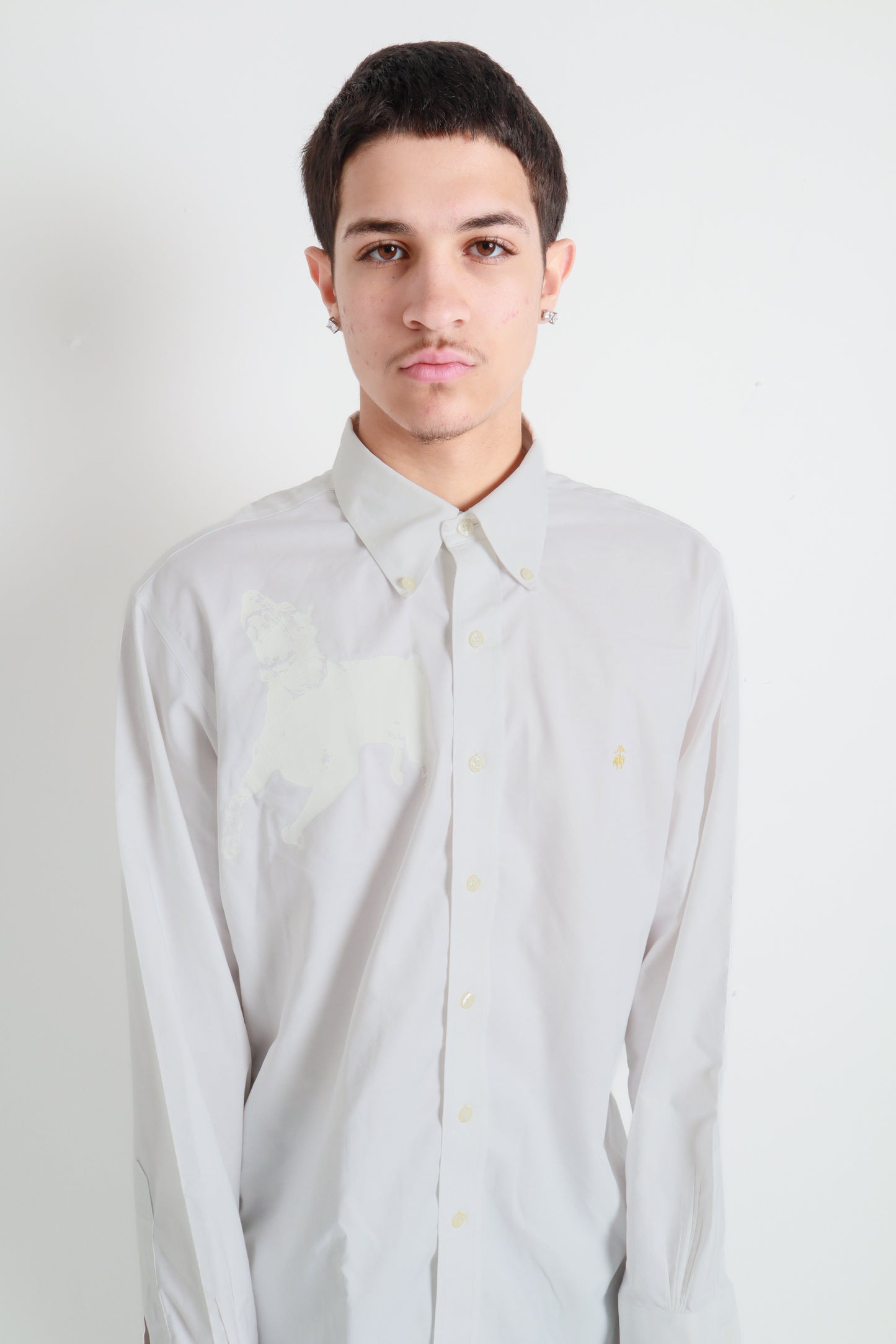 dog button down *Brooks Brothers