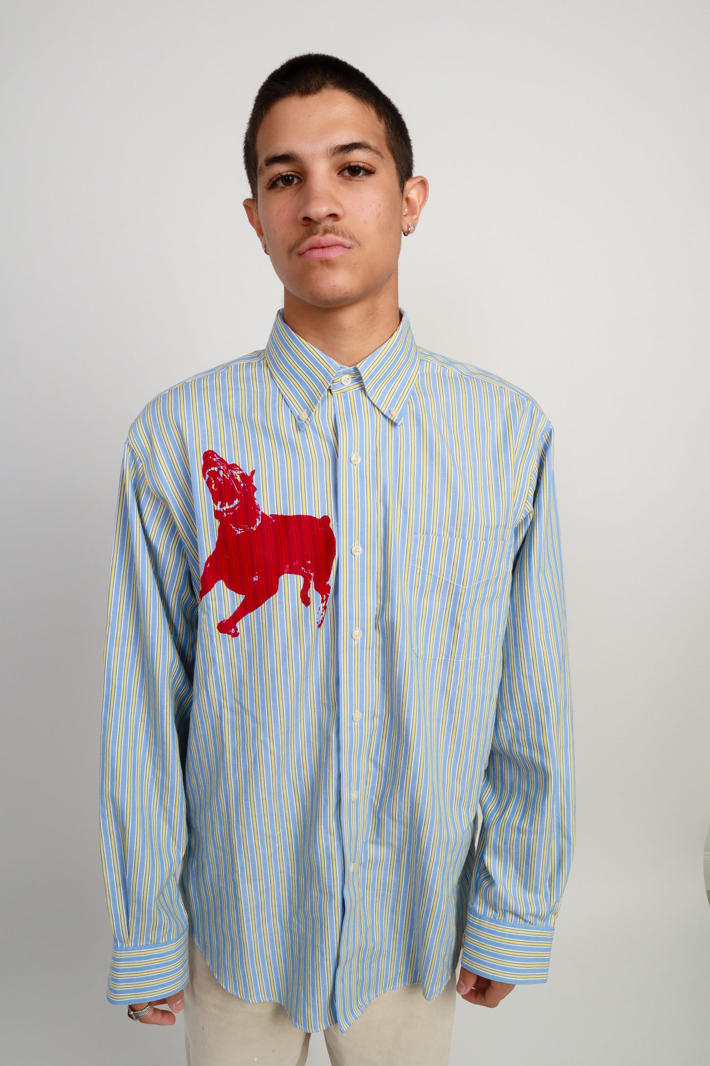 dog button down *Ralph Lauren