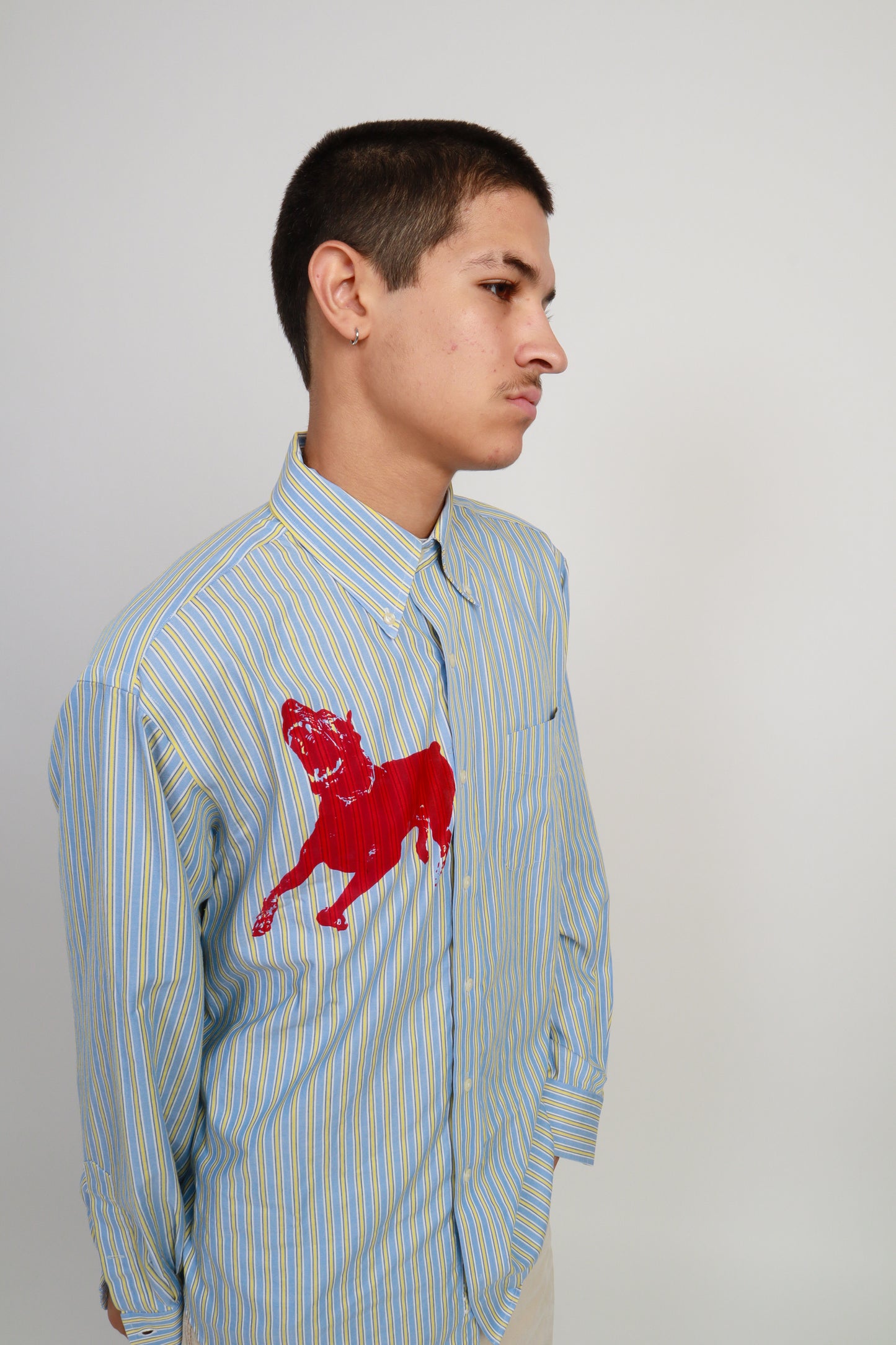 dog button down *Ralph Lauren