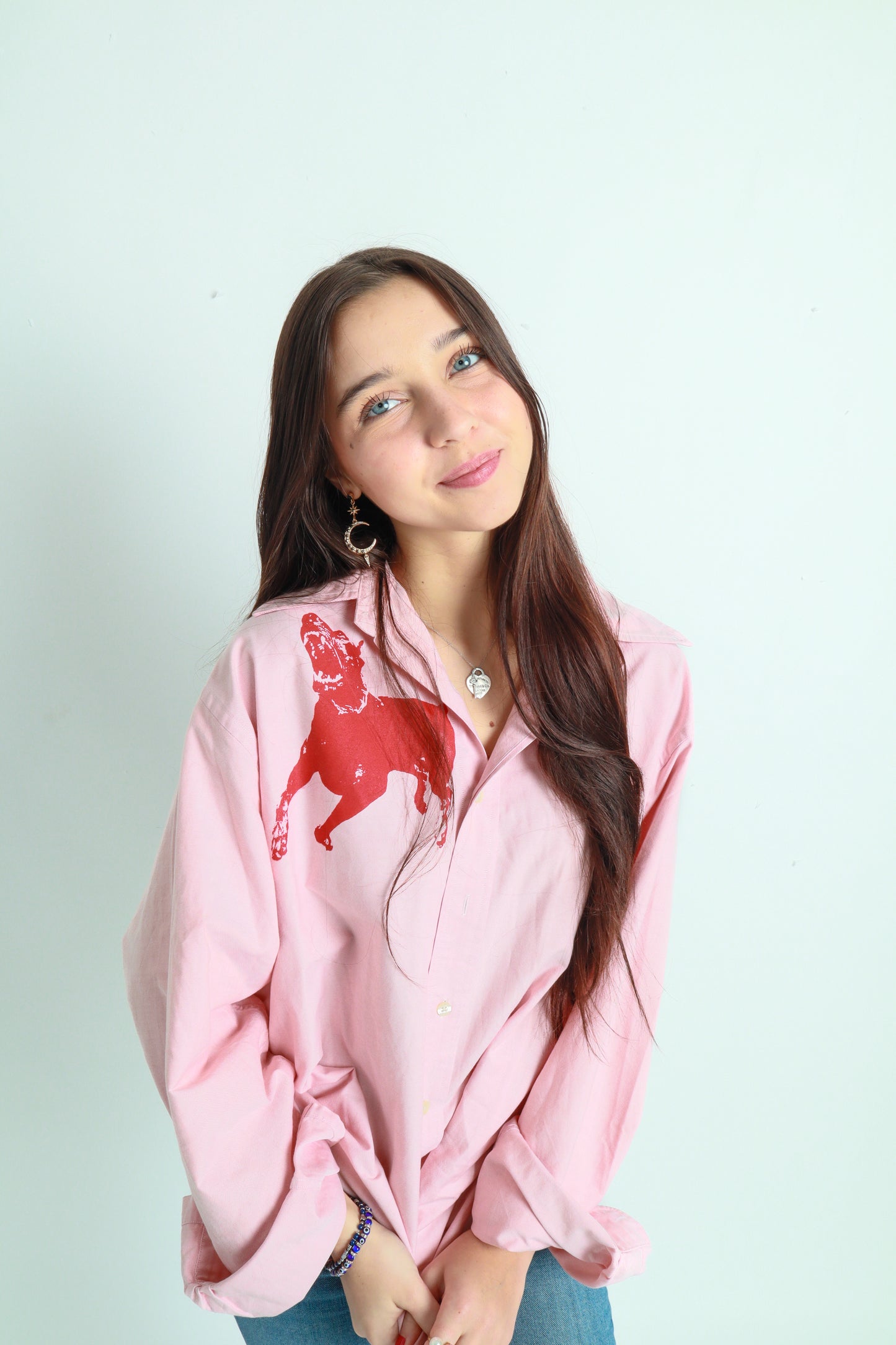 dog button down *Brooks Brothers