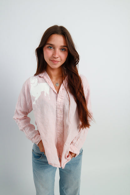 dog button down *Brooks Brothers