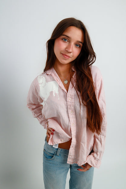 dog button down *Brooks Brothers