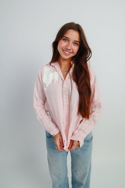 dog button down *Brooks Brothers