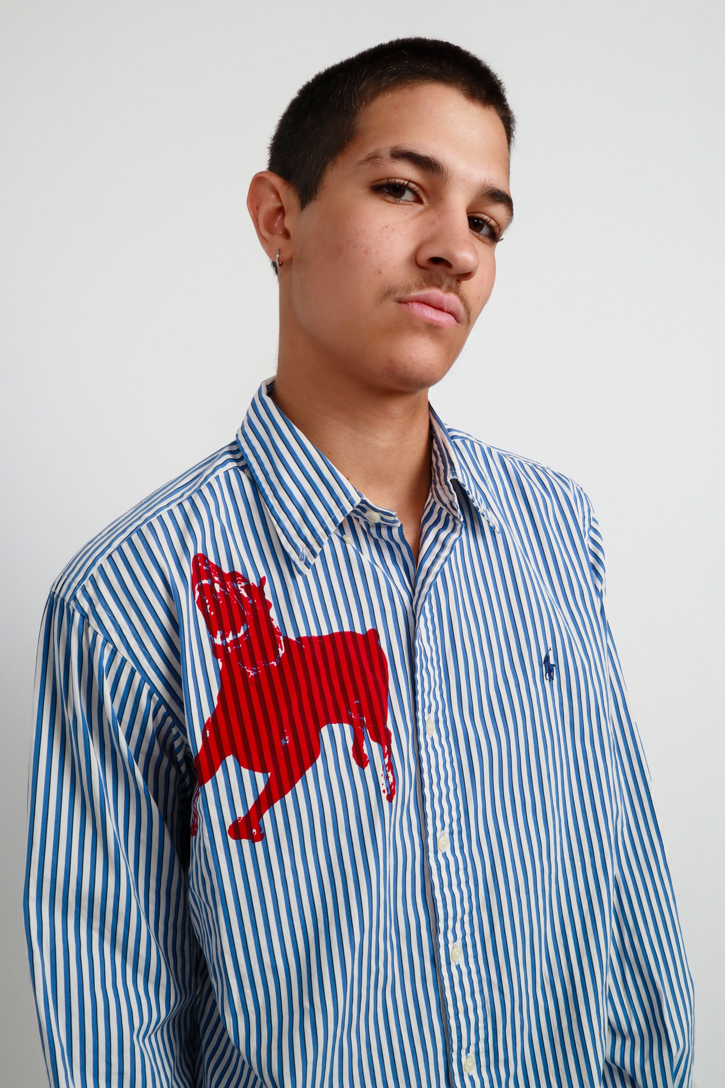 dog button down *Ralph Lauren
